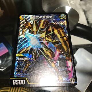 「雷光の聖騎士」