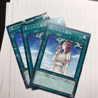 禁じられた聖杯