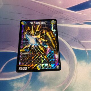 「雷光の聖騎士」