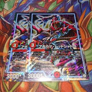 アカカゲ・レッドシャドウ