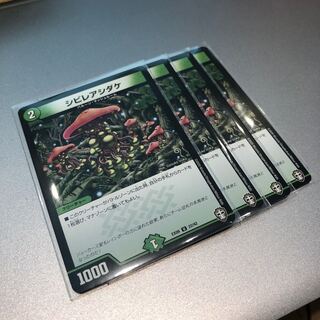 シビレアシダケ(4枚)