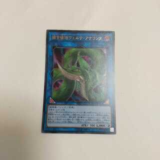 捕食植物ヴェルテ・アナコンダ