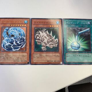 ウォータードラゴンセット