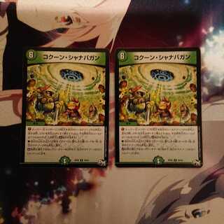 コクーン・シャナバガン