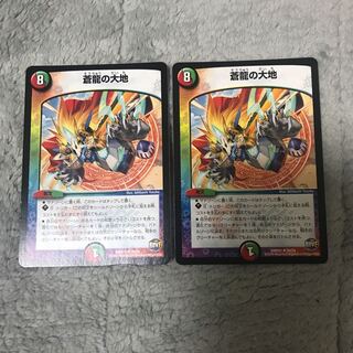 蒼龍の大地 2枚セット