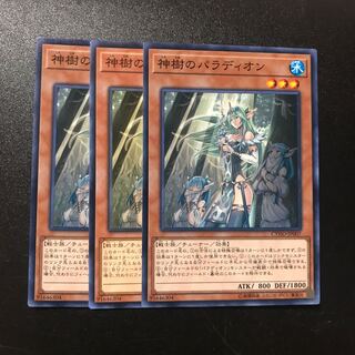 神樹のパラディオン N