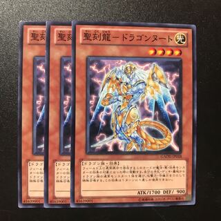 聖刻龍-ドラゴンヌート N