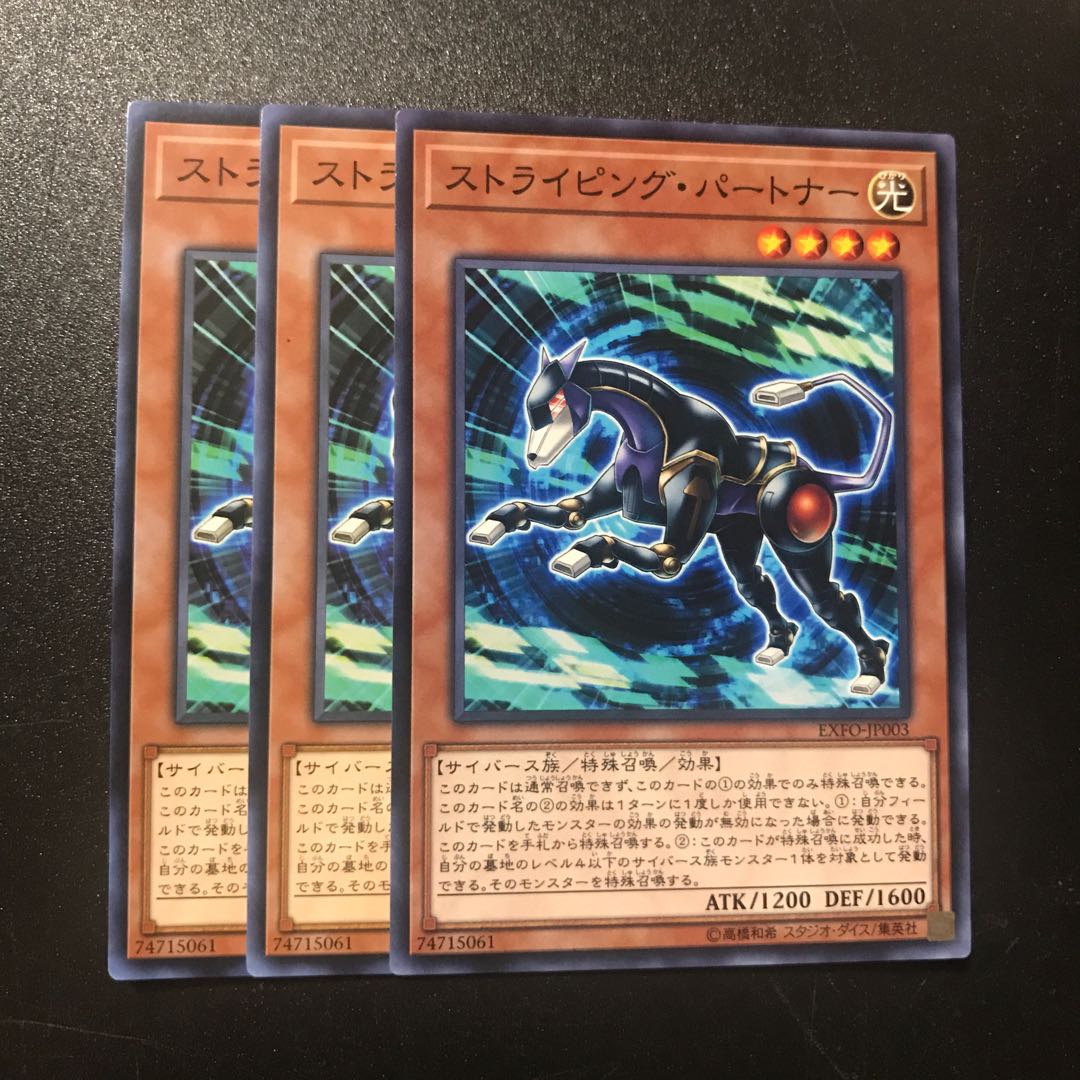 ストライピング・パートナー N