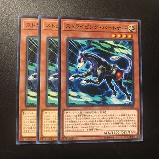 ストライピング・パートナー N