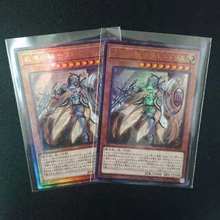 教導の騎士フルルドリス UL