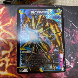 専用雷光の聖騎士