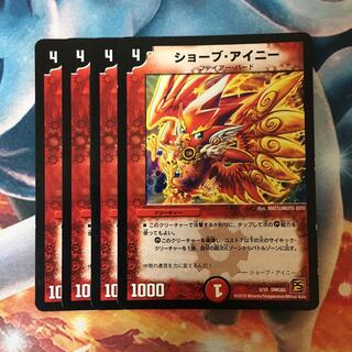 ショーブ・アイニー