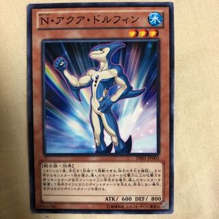 アクアドルフィン