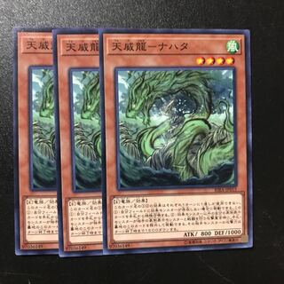 天威龍-ナハタ N