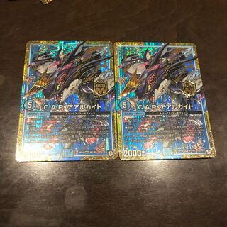 C.A.P.アアルカイト 美品 2枚