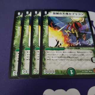 専用 反射の大地カプリコン