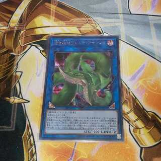 捕食植物ヴェルテ・アナコンダ シークレットレア