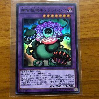 捕食植物キメラフレシア SR