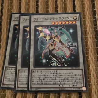 マドレース フォーチュンレディ・エヴァリー SR