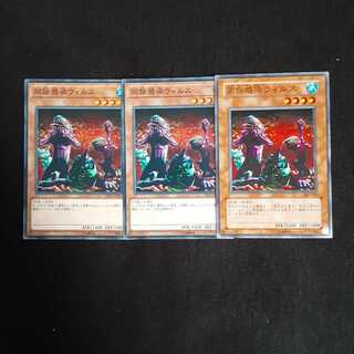 同族感染ウィルス