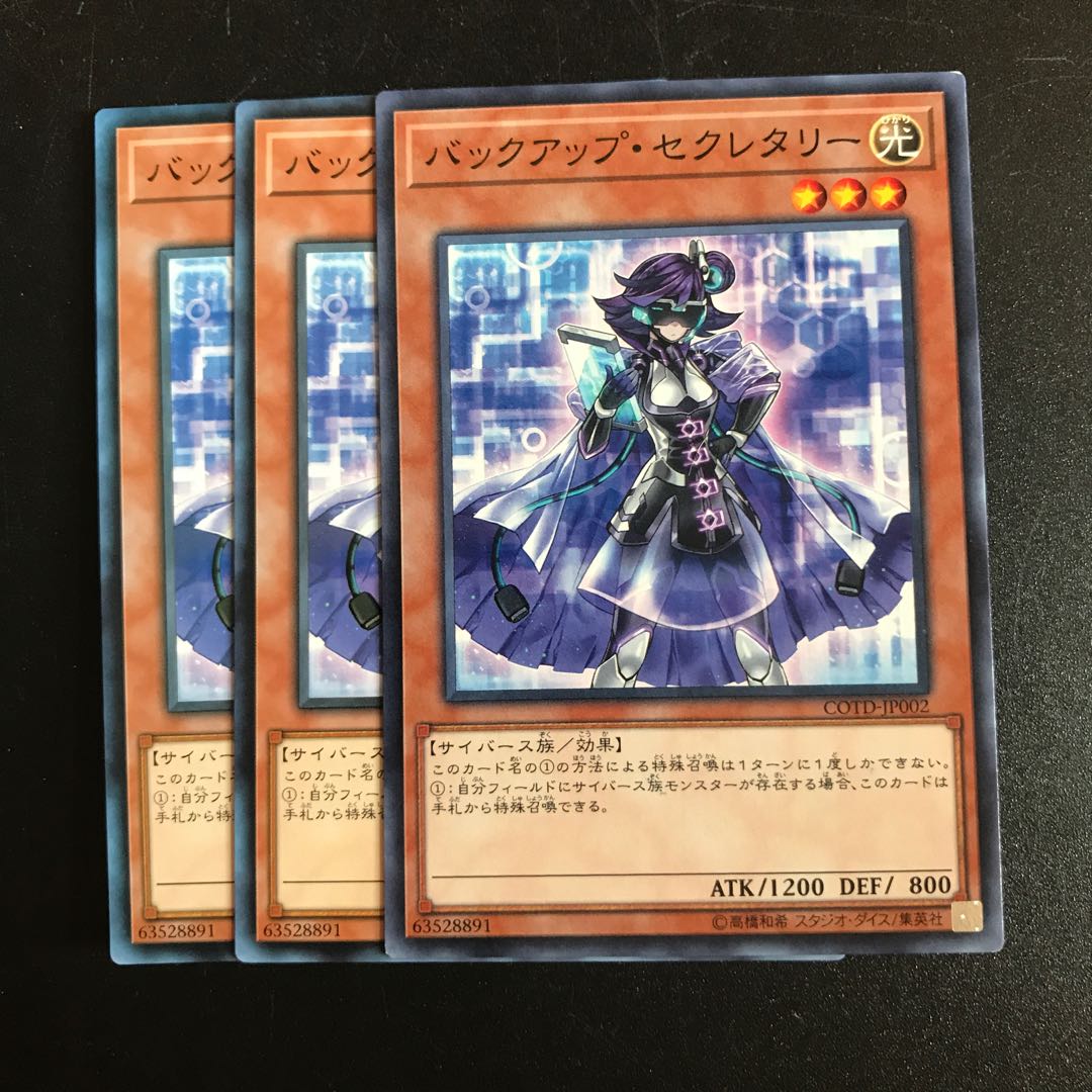 バックアップ・セクレタリー N