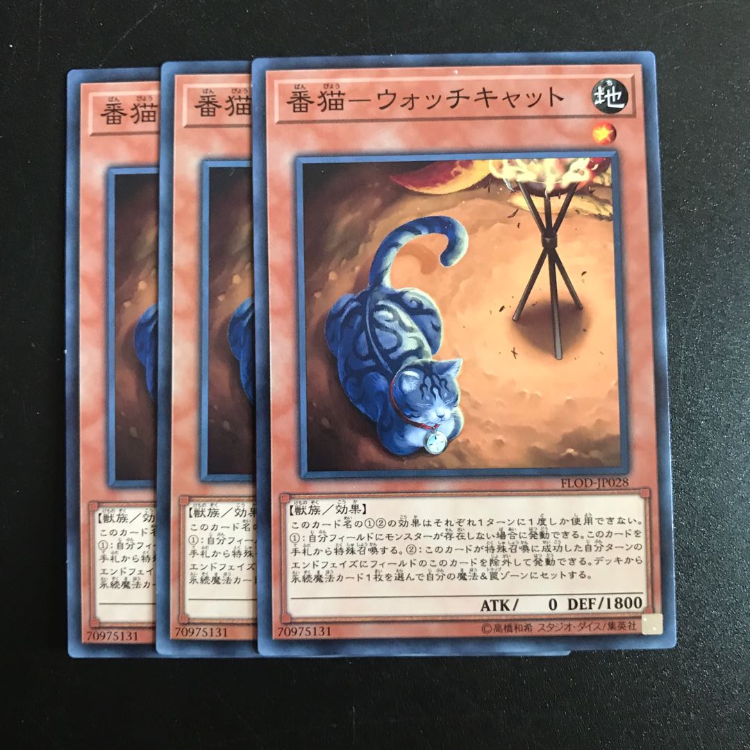 番猫-ウォッチキャット N