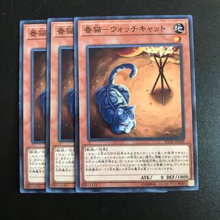 番猫-ウォッチキャット N