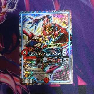 アカカゲ・レッドシャドウ