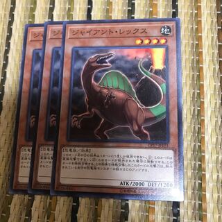 マドレース ジャイアント・レックス N