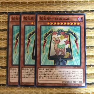 マドレース 花札衛-紅葉に鹿- N