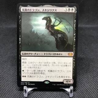 荒廃のドラゴン、スキジリクス