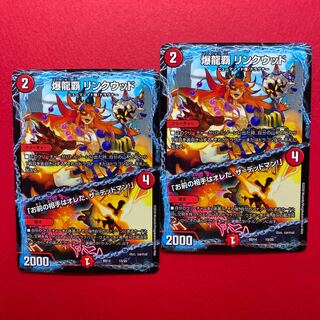 爆龍覇 リンクウッド お前の相手はオレだ、ザ＝デッドマン！リングウッド 2枚