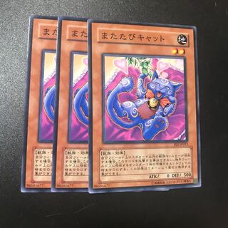 またたびキャット N