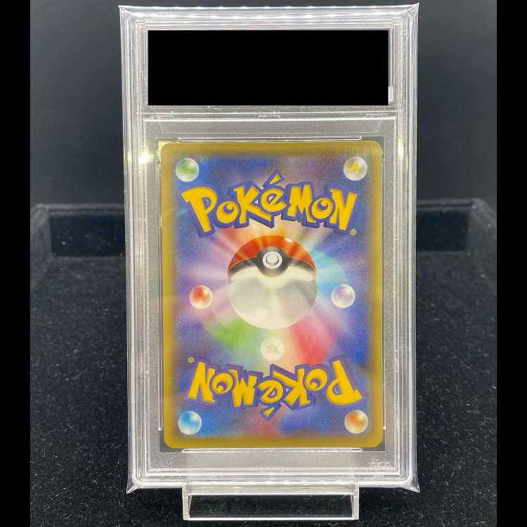 [PSA10] Pikachu in a Poncho PROMO 208/XY-P 1枚