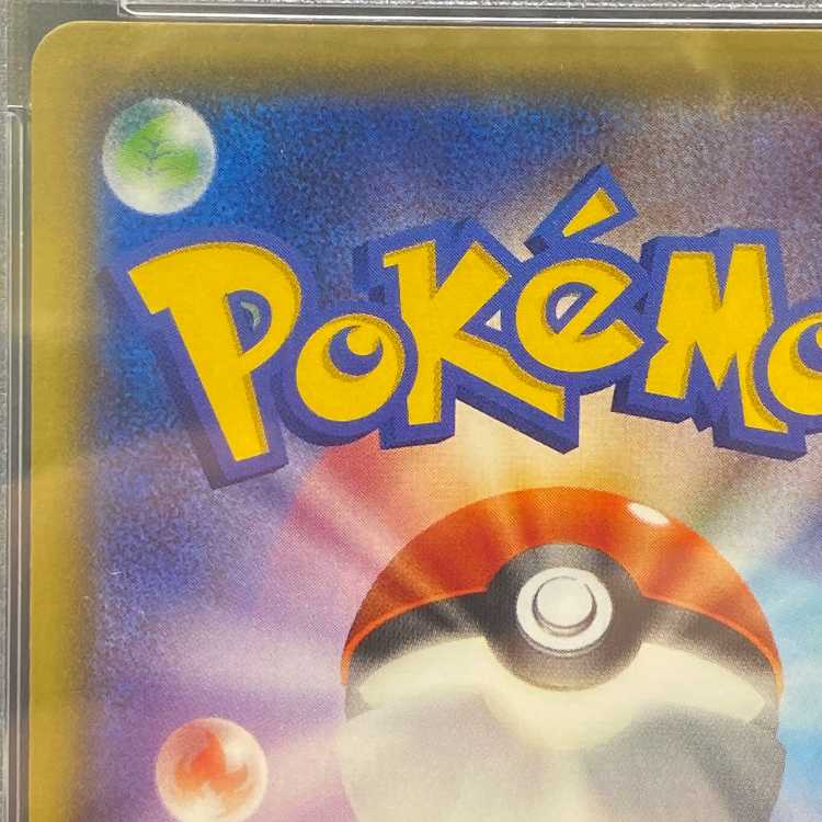 [PSA10] Pikachu in a Poncho PROMO 208/XY-P 1枚