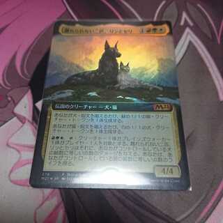 Foil 離れられない二匹、リンとセリ