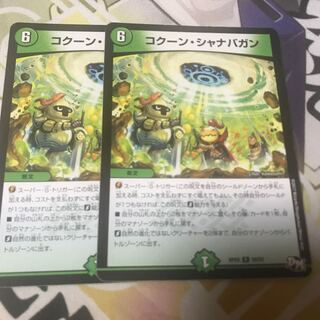 コクーン・シャナバガン　2枚