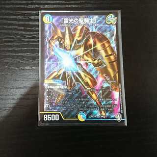 「雷光の聖騎士」