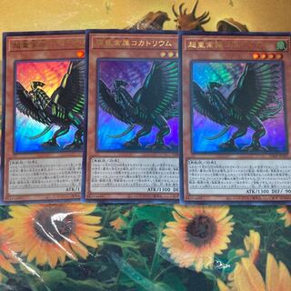 遊戯王　超重禽属コカトリウム　3枚セット