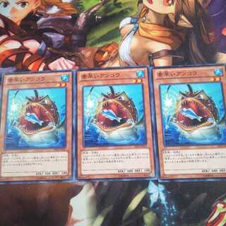 素早いアンコウ　3枚