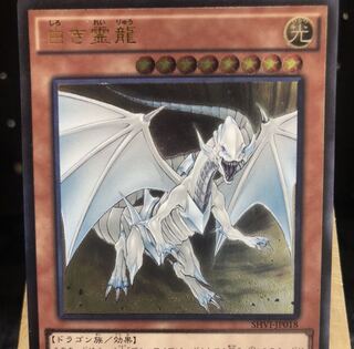 遊戯王【白き霊龍】UL