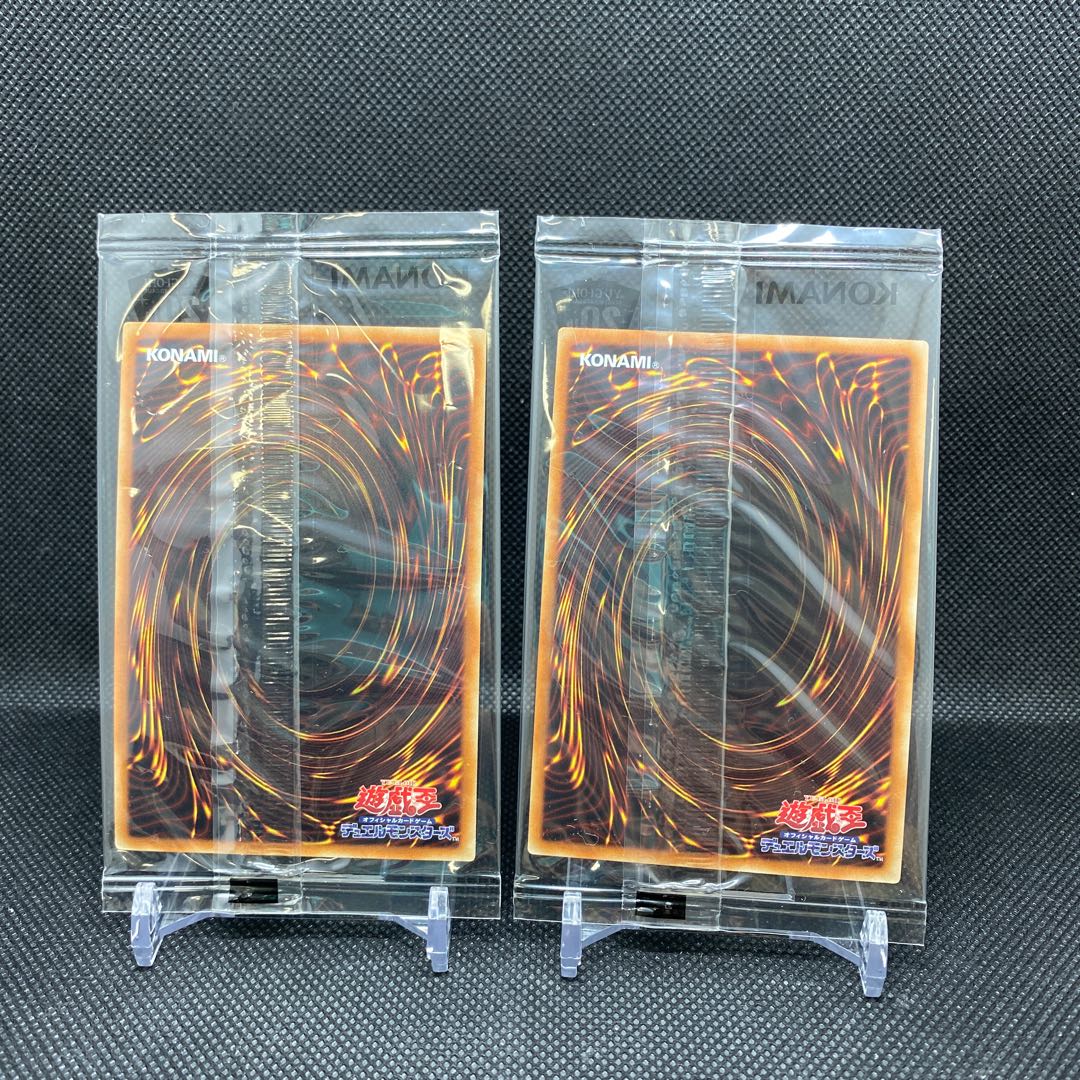 WCS2018 管理番号D