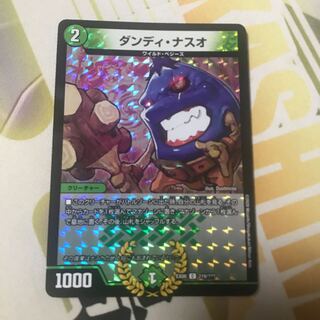 ダンディ・ナスオ C-foil