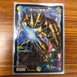 「雷光の聖騎士」