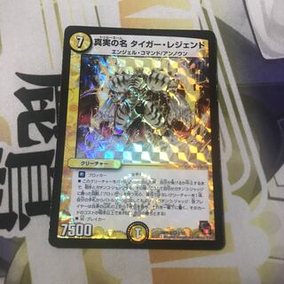 真実の名 タイガー・レジェンド