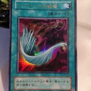 ハーピィーの羽根箒 1枚