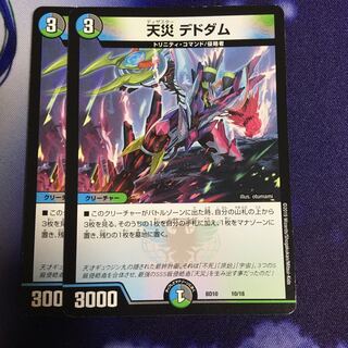 天災 デドダム 2枚