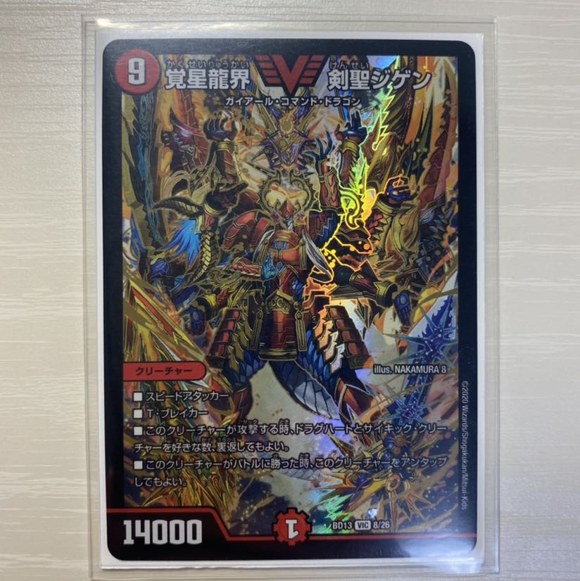 覚星龍界 剣聖ジゲン