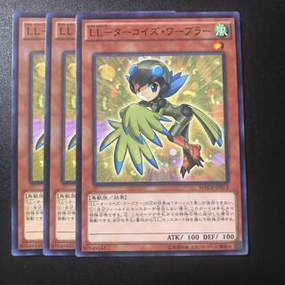 LL-ターコイズ・ワーブラー N