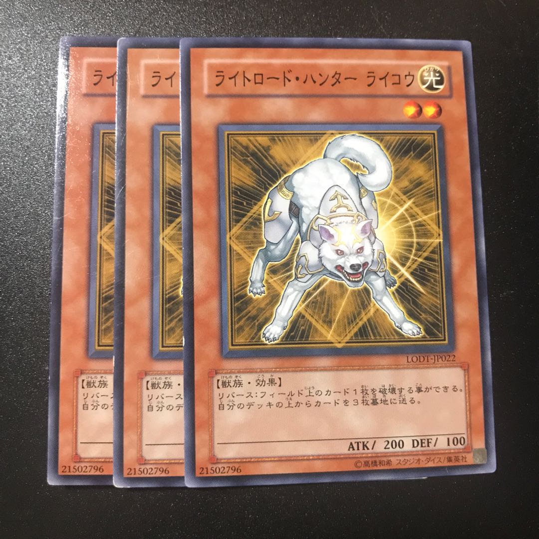 ライトロード・ハンター ライコウ N